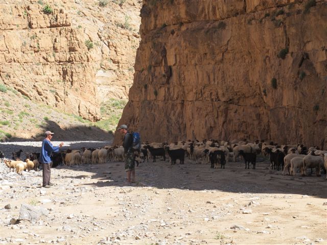 gorge asif melloul trektocht met ezeltjes hoge atlas